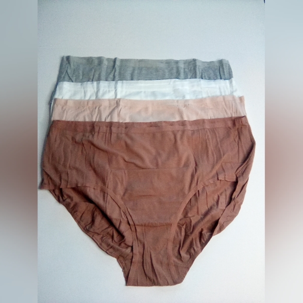 Set of 4 Women's Dealworthy Panties in Neutral Tones, NWOT